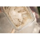 Három csomag szárított kovász Három csomag szárított kovász